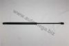 GM 24465295 Gas Spring, bonnet